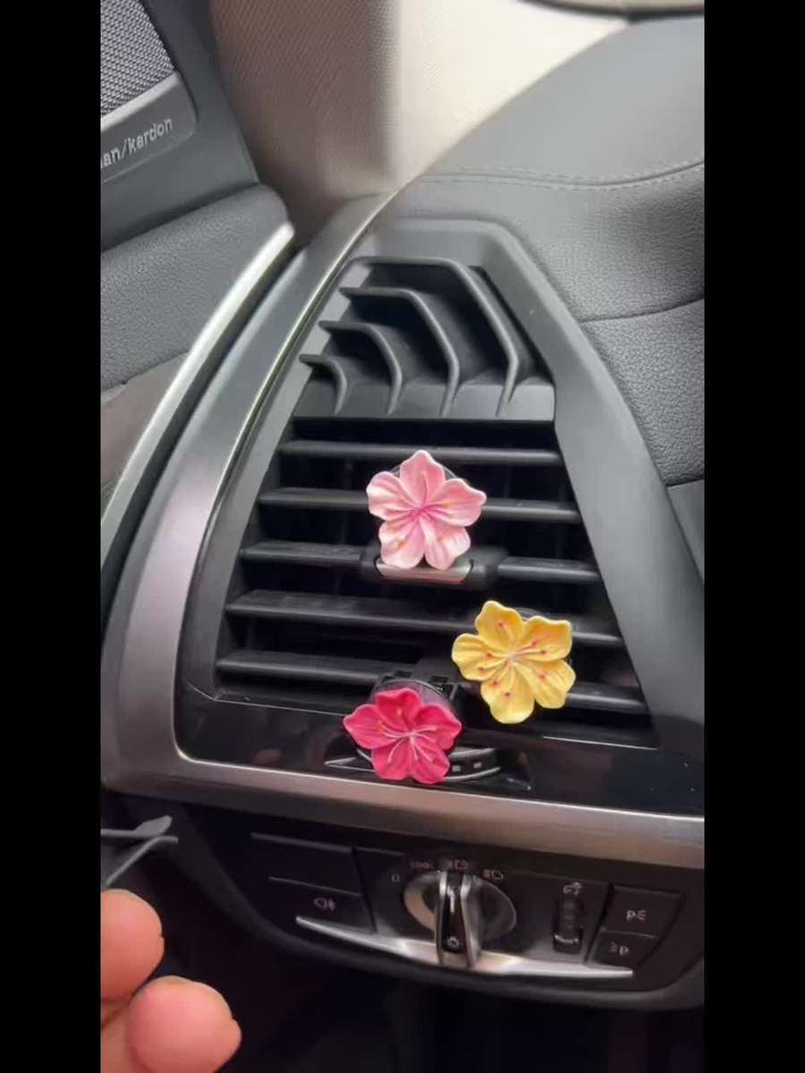 Car Interior Decor Color Combination 1