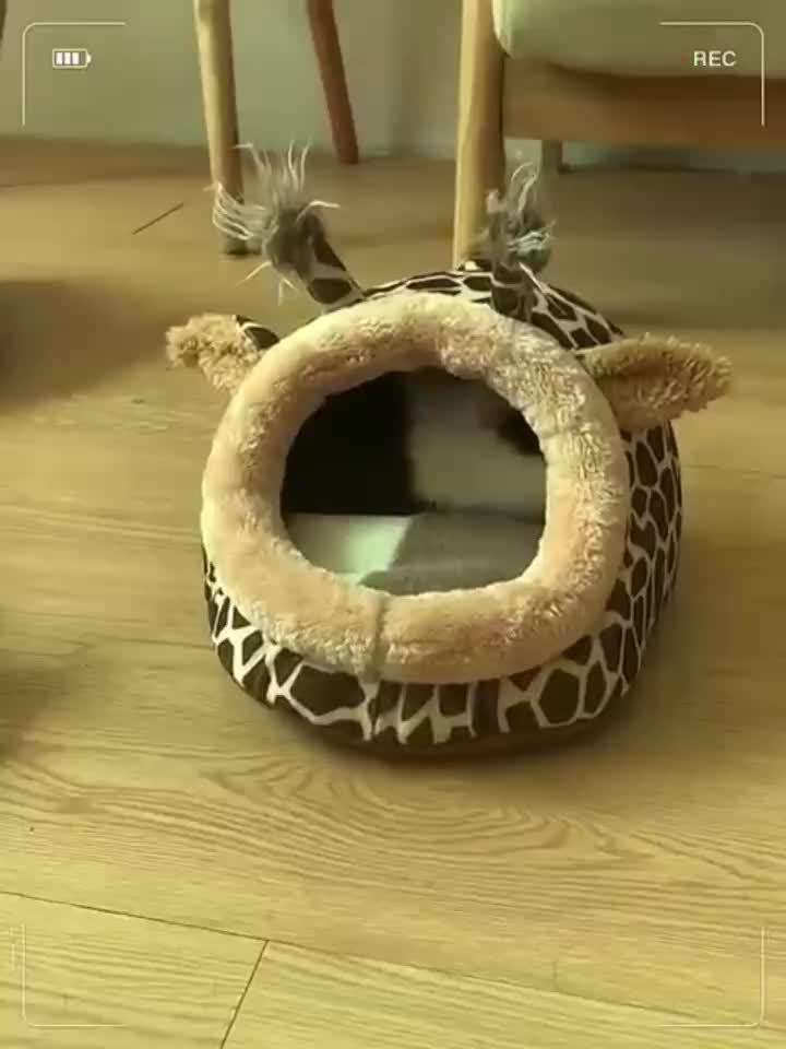 Pet supplies size Giraffe L