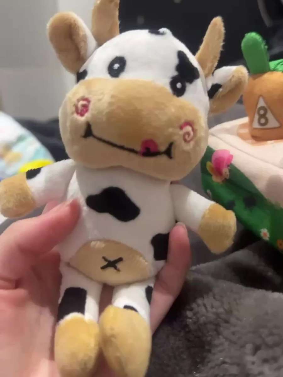 Plush Toyss size 7 x 4in