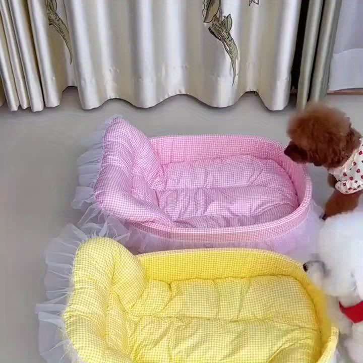 Pet supplies color Blue