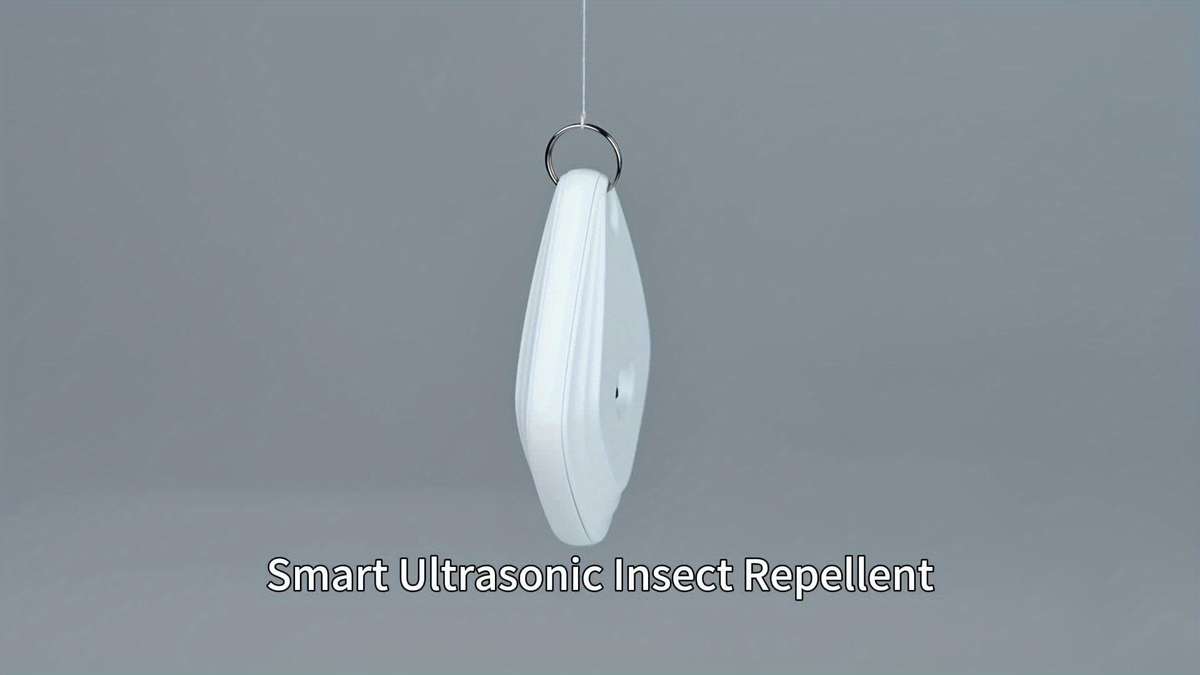 Insect Trap Color Magic Black