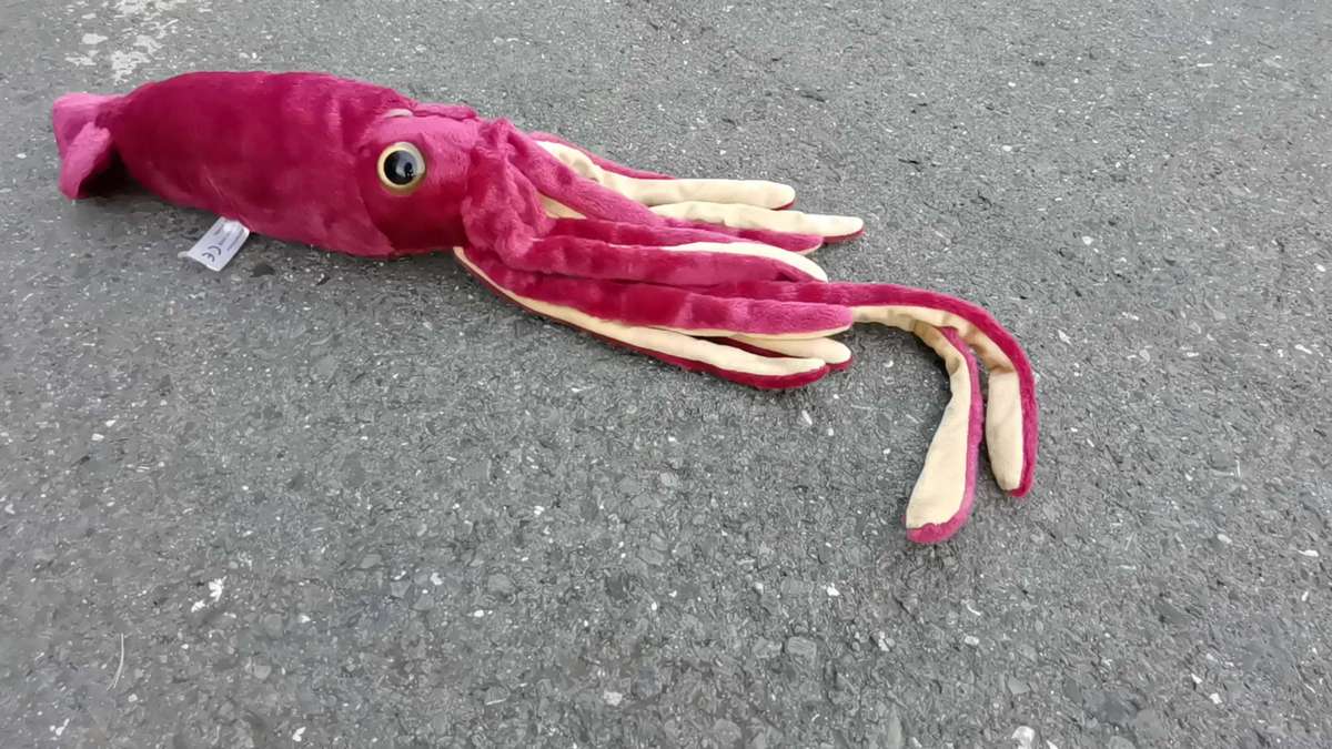 Plush Toyss color Wine Red