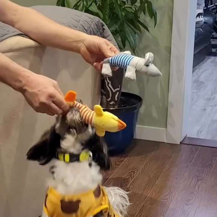 Plush Toyss Items Blue