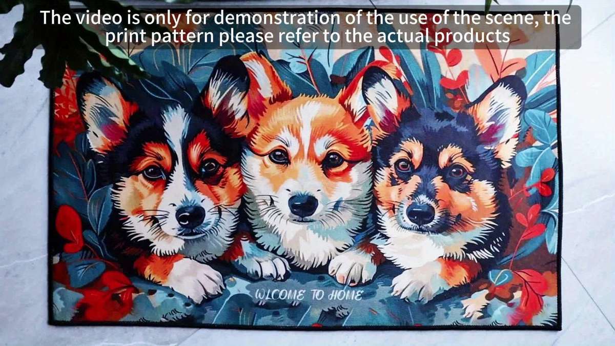 Floor Mats Size 15.7X23.6Inch