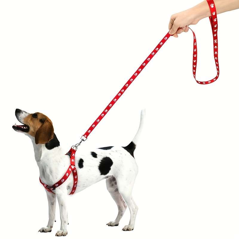 Dog Leash Color Red Size S