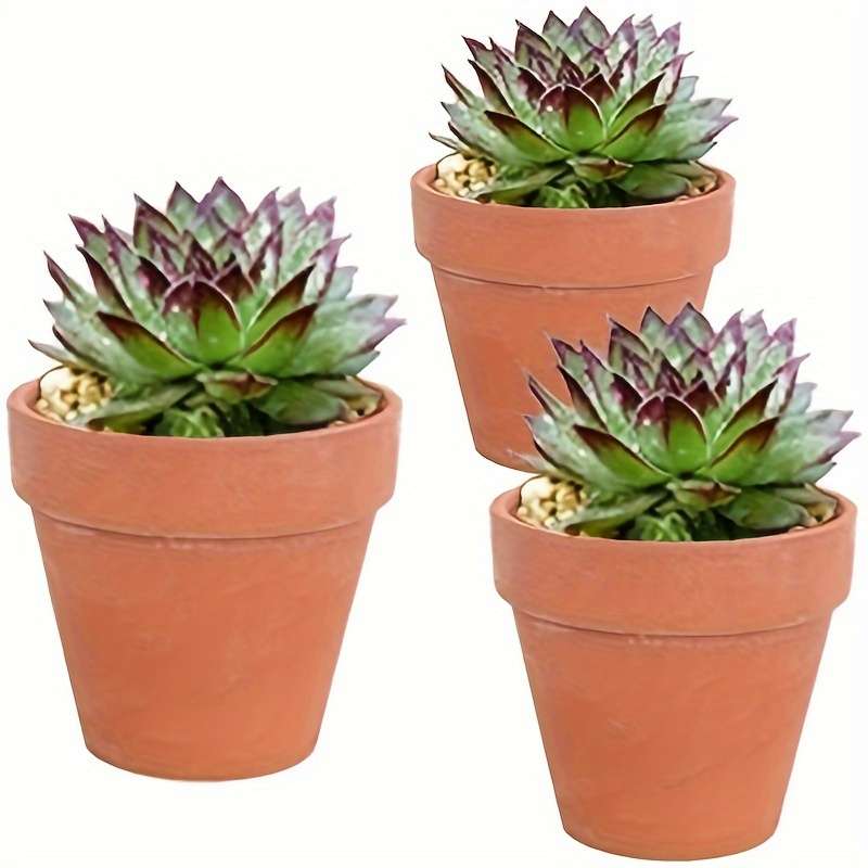 Flowerpot Size D10Xh8Cm Quantity10Pcs