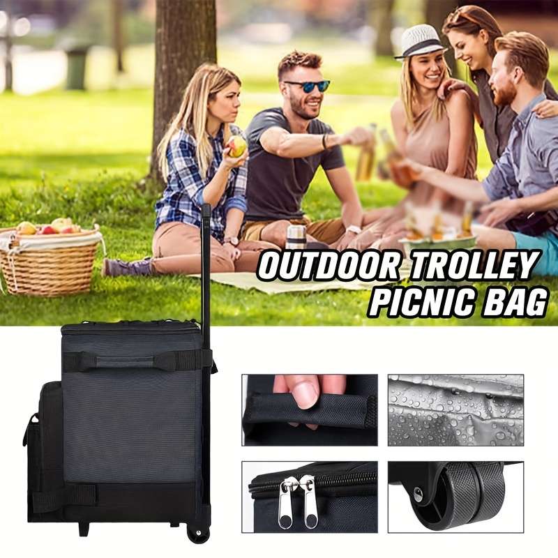 Insulated Cooling Bag Color Blue