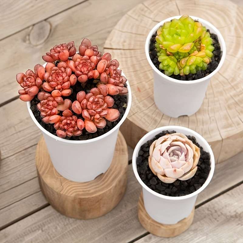 Flowerpot Model 10.5Cm4.13In Quantity3Pcs