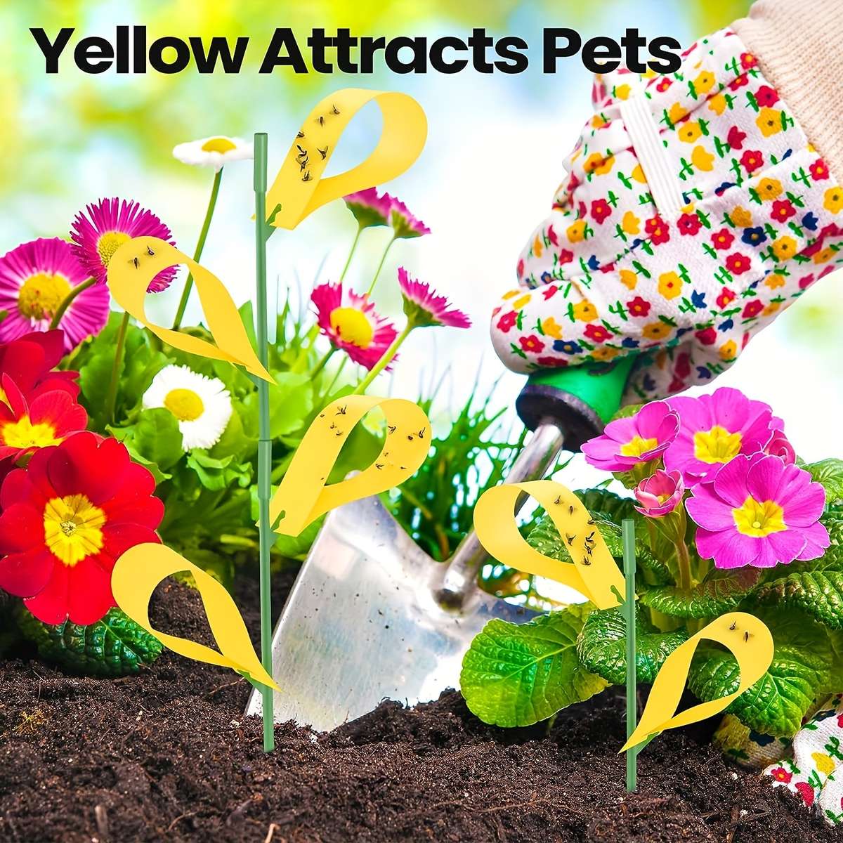 Fruit Fly Traps Color Yellow