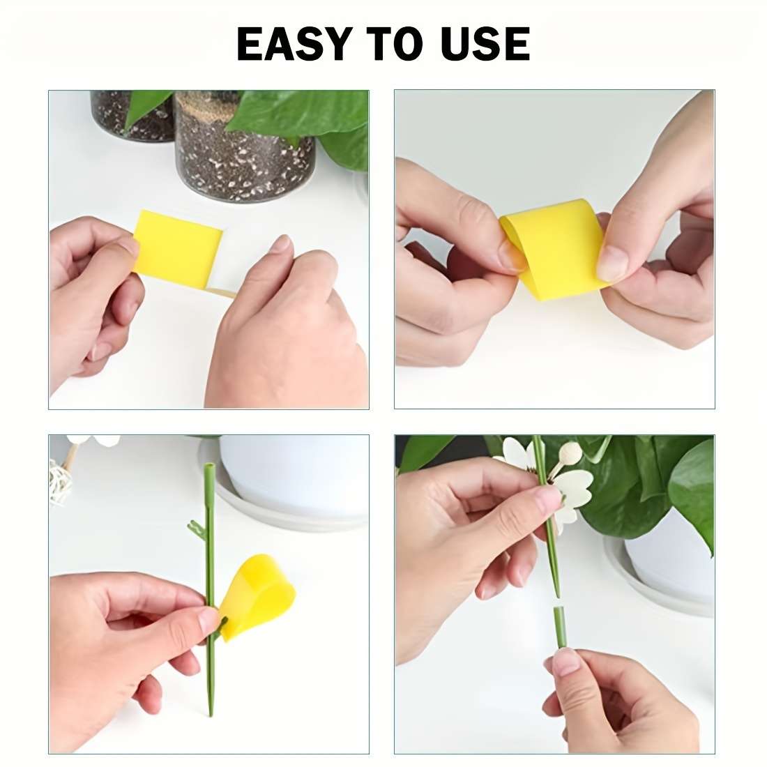 Fruit Fly Traps Color Yellow