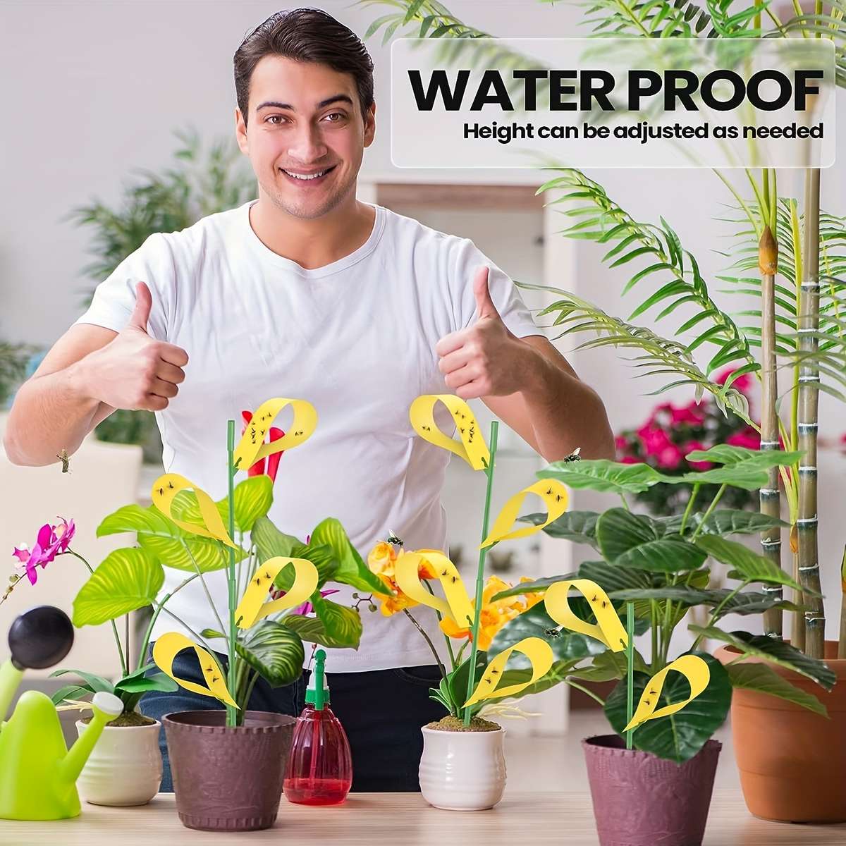 Fruit Fly Traps Color Yellow