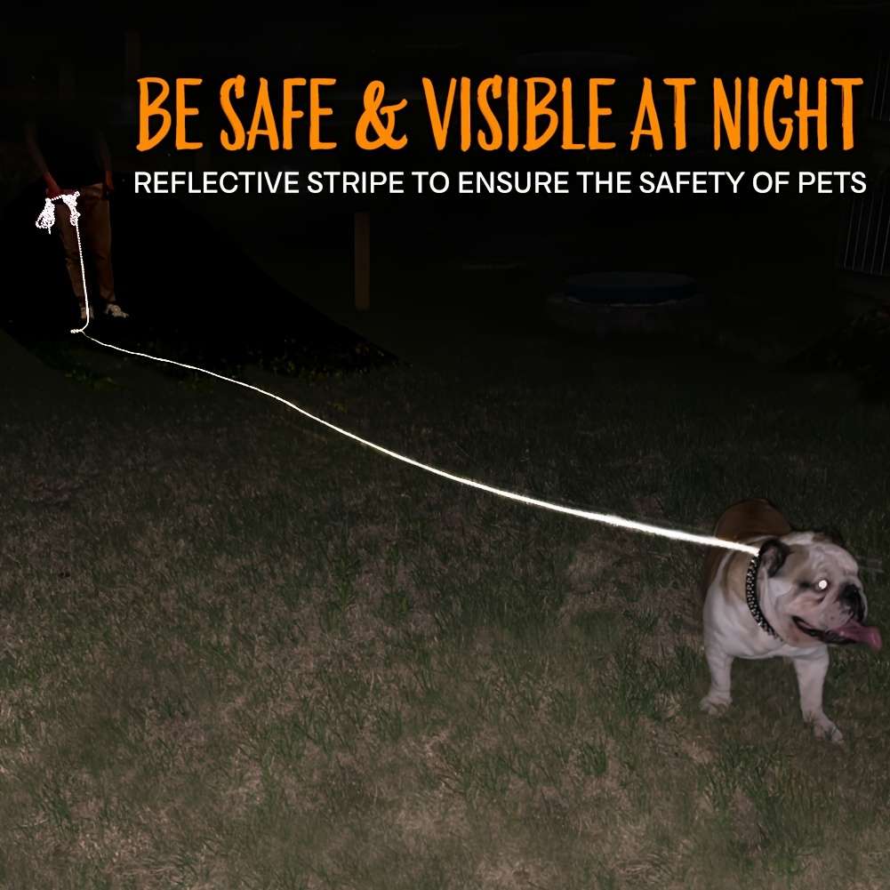 Dog Leash Color Orange Size M
