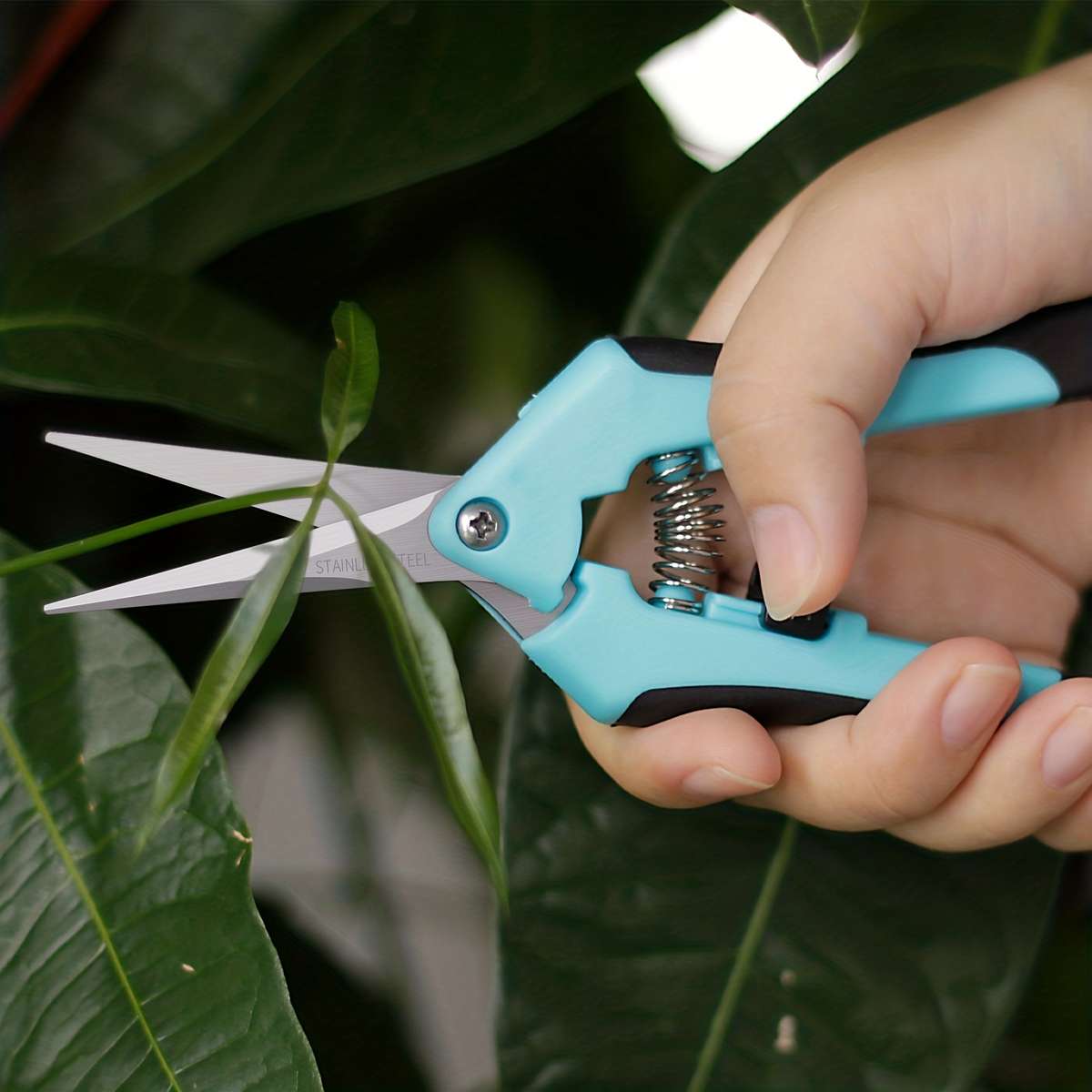Garden Shears Quantity 1