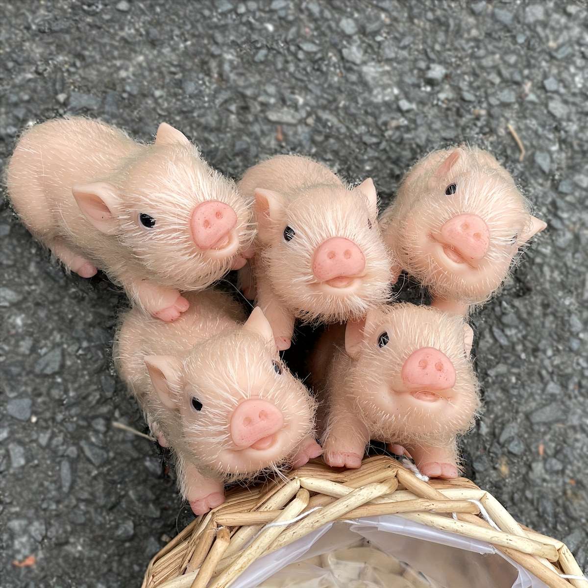 Plush Toyss size 12cm 4.72 inch