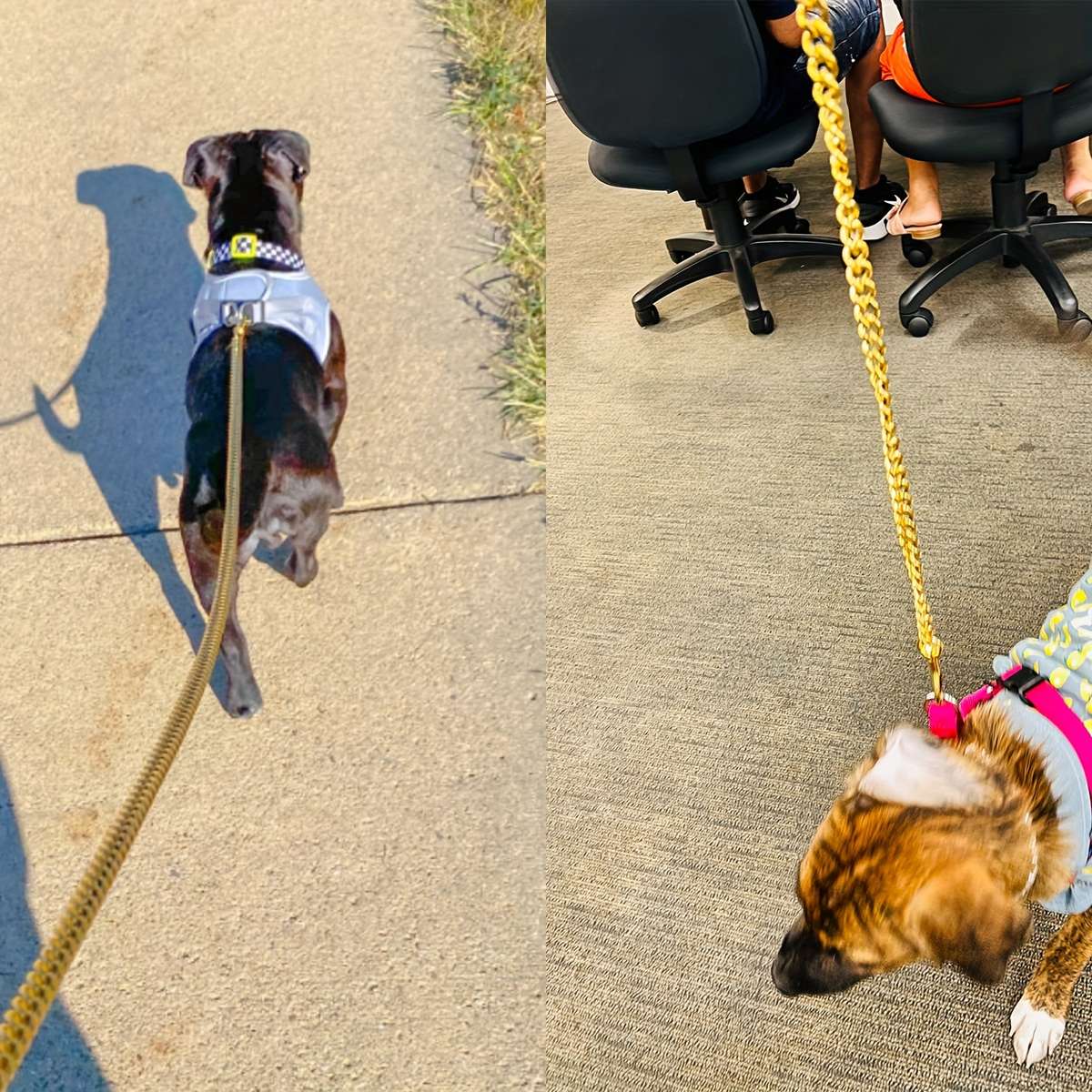 Dog Leash Size 3Ft