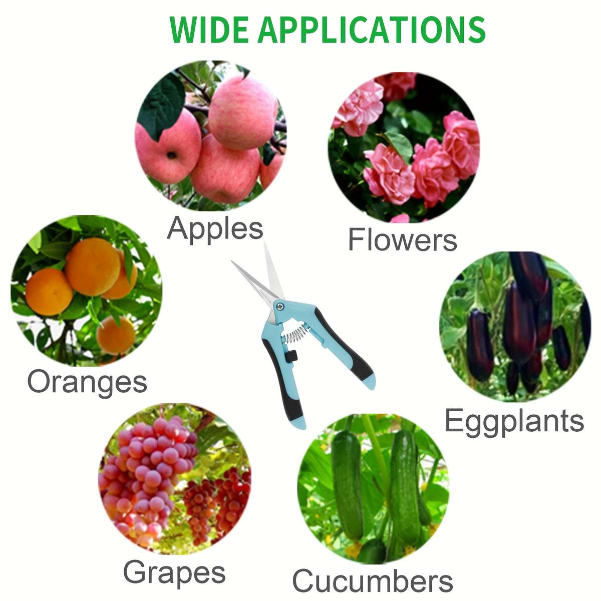 Garden Shears Quantity 1