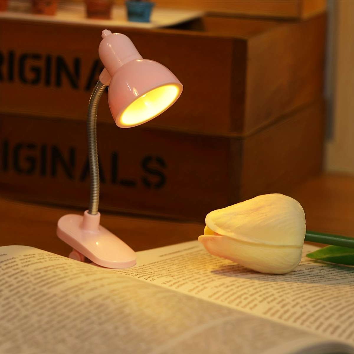 Portable Lamp Color 4Pcs  2 White  Add  2 Pink