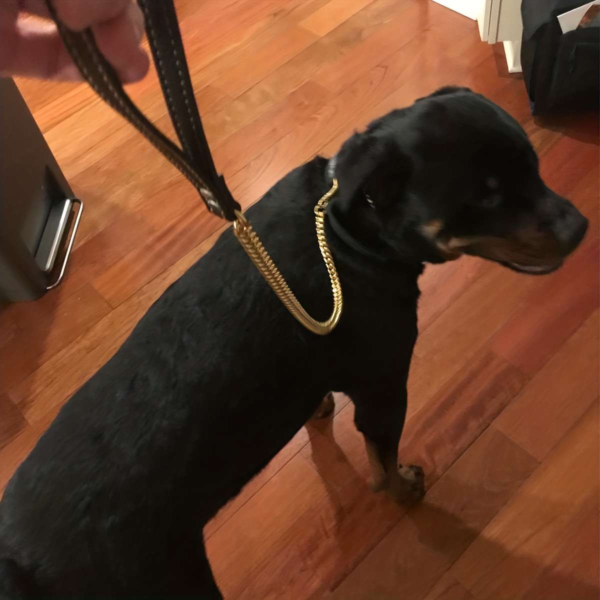 Dog Leash Size 3Ft