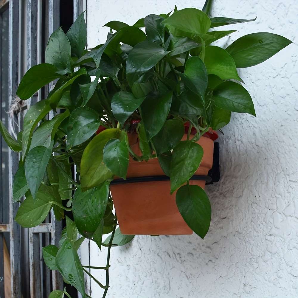 Pet supplies size 15.24 Cm Without Bowl