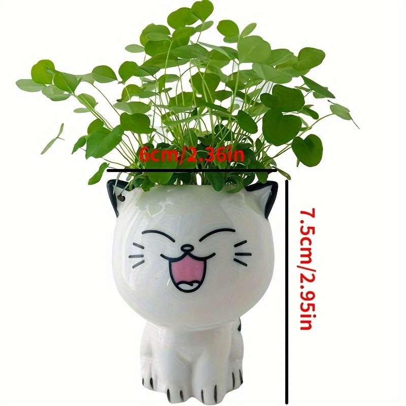 Flowerpot Color D
