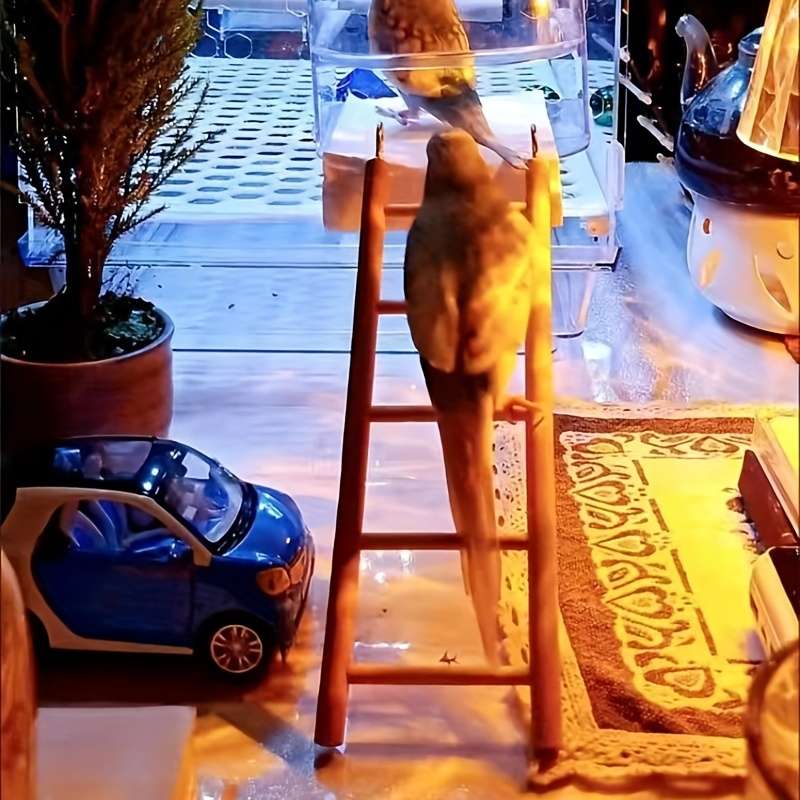 Pet supplies Model 4 Ladders