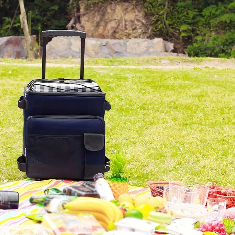 Insulated Cooling Bag Color Blue