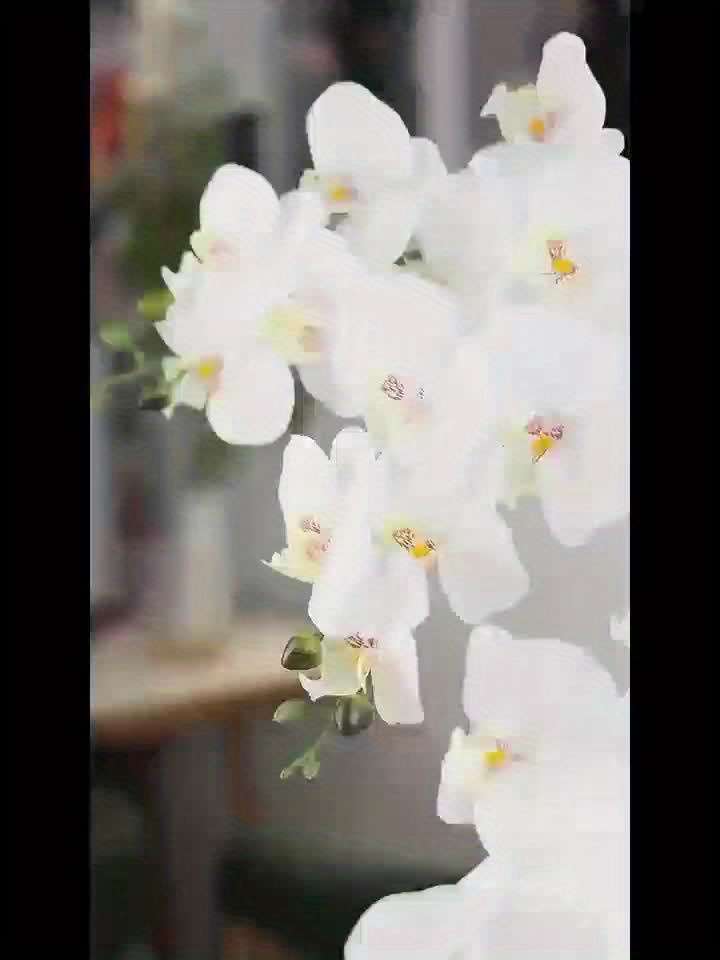 Simulated Flower Quantity 9 Flowers  1 Bouquet