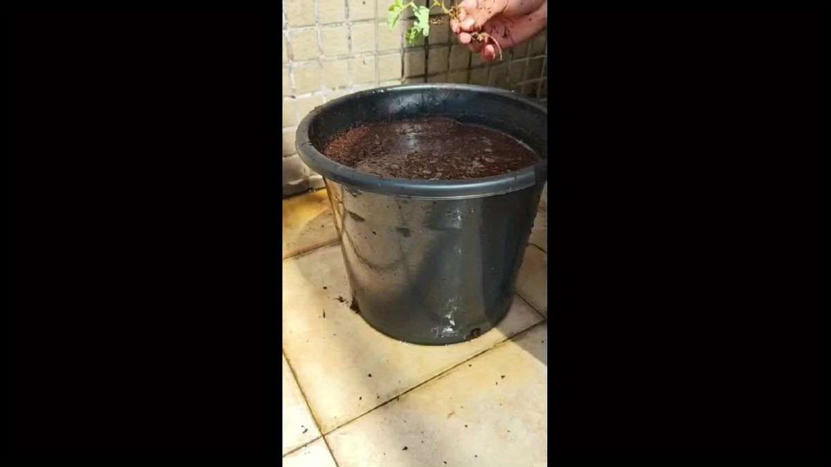 Flowerpot Quantity 26.5L 1S