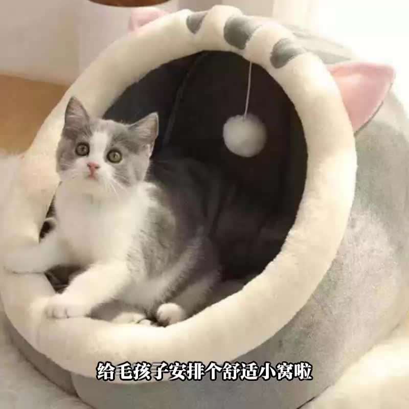 Pet supplies Model Rabbit size L    suitable For Within 25 Catties