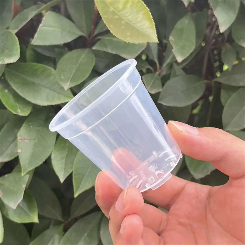 Flowerpot Size 6.1Cm2.4In*6Cm2.36In Quantity