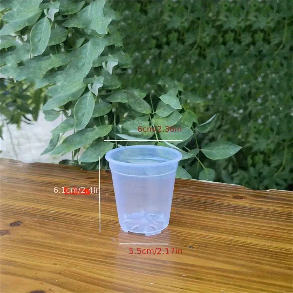 Flowerpot Size 6.1Cm2.4In*6Cm2.36In Quantity