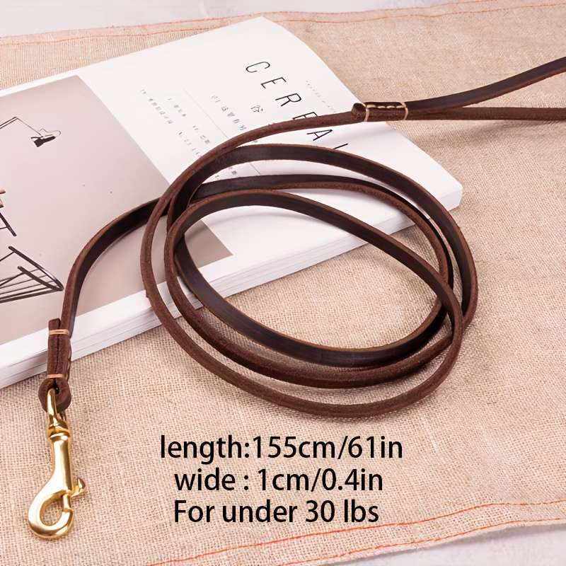 Dog Leash Color Green Size 1Cm0.4In