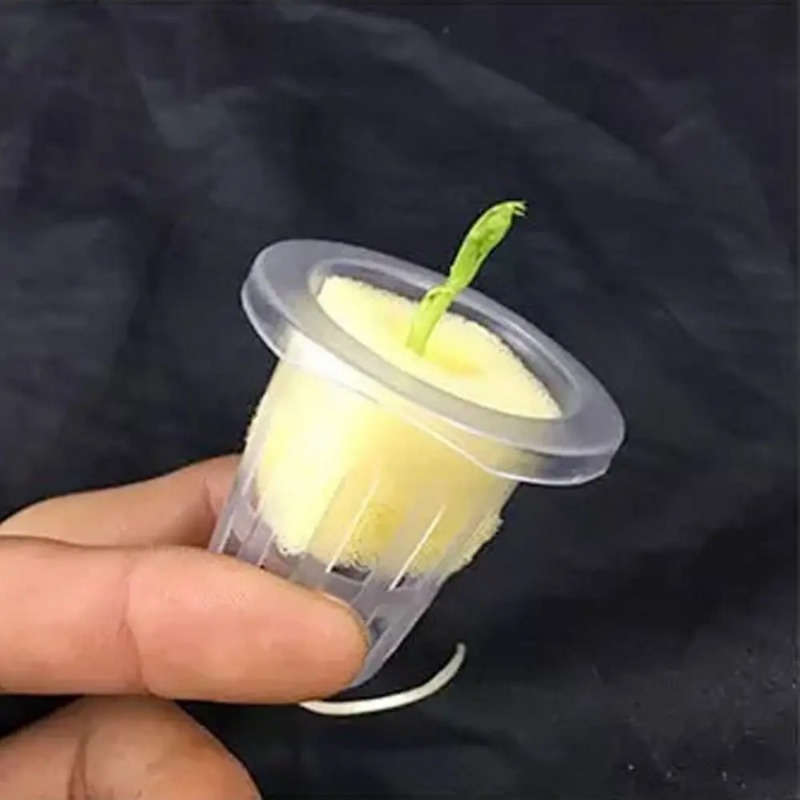 Flowerpot Color Transparent Weight2Pcs