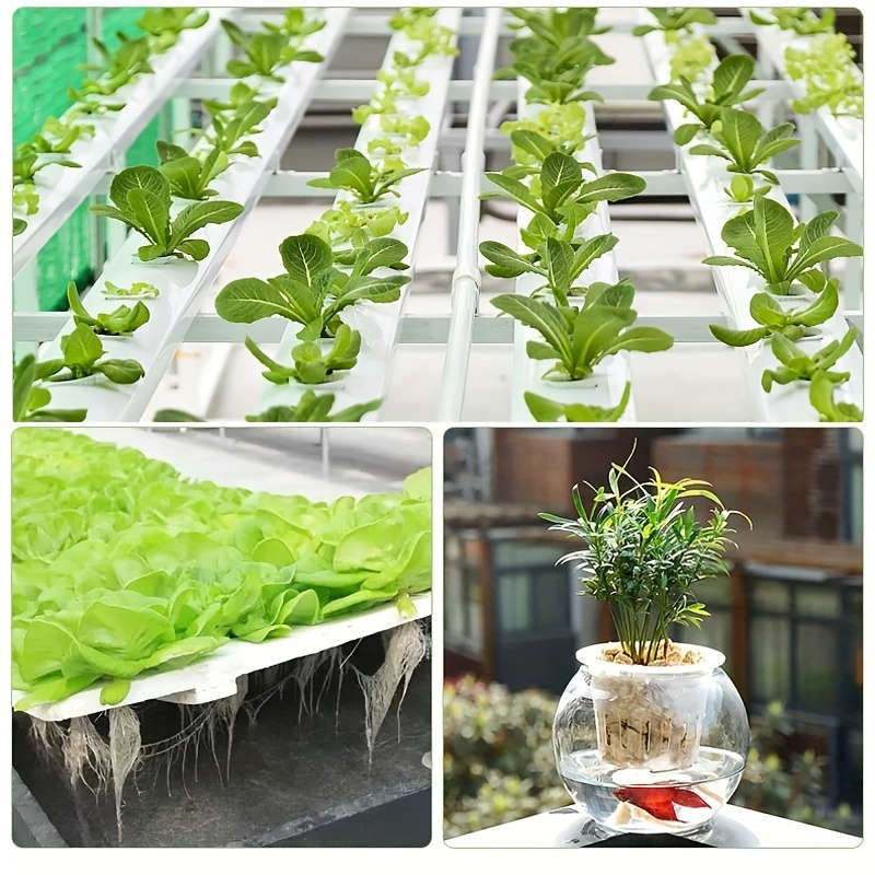 Flowerpot Color Transparent Weight2Pcs