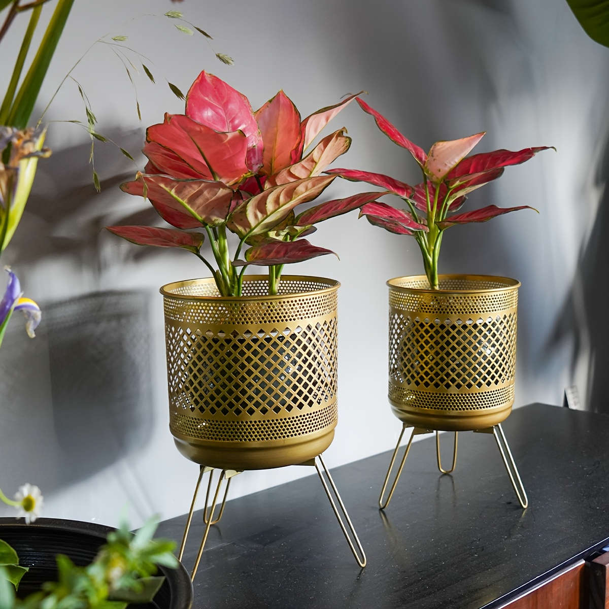 Flowerpot Color Black Modelhp 3
