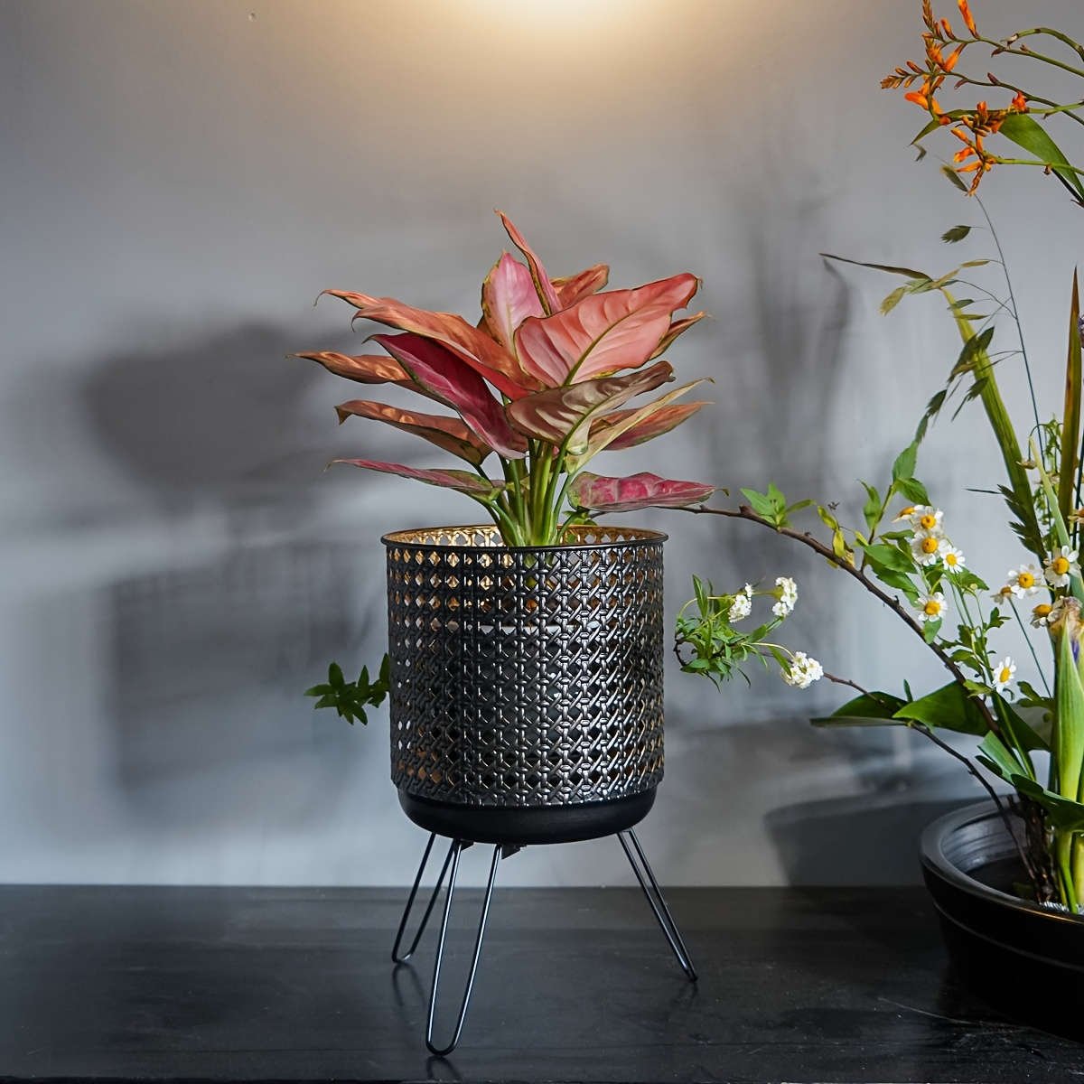Flowerpot Color Black Modelhp 3