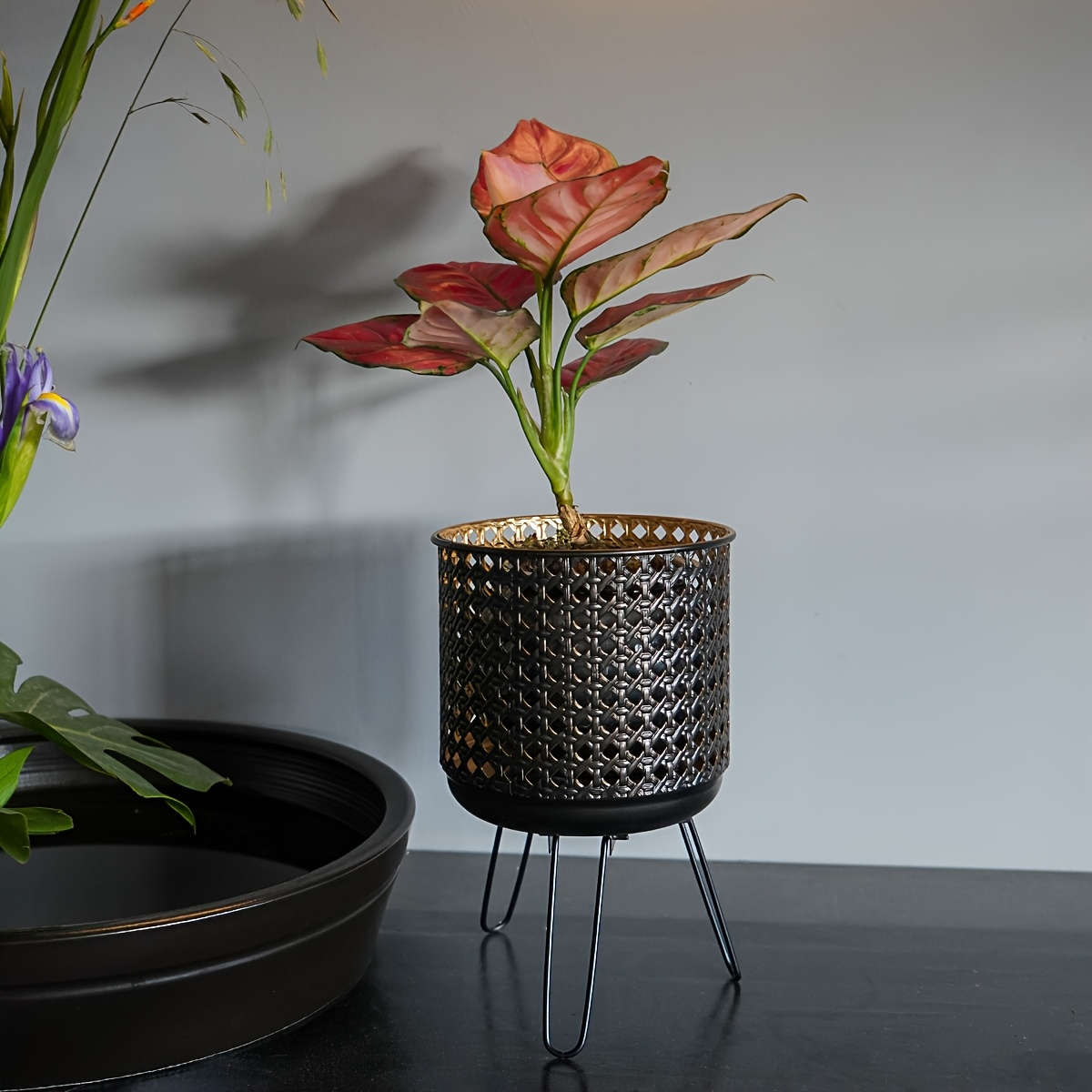 Flowerpot Color Black Modelhp 3