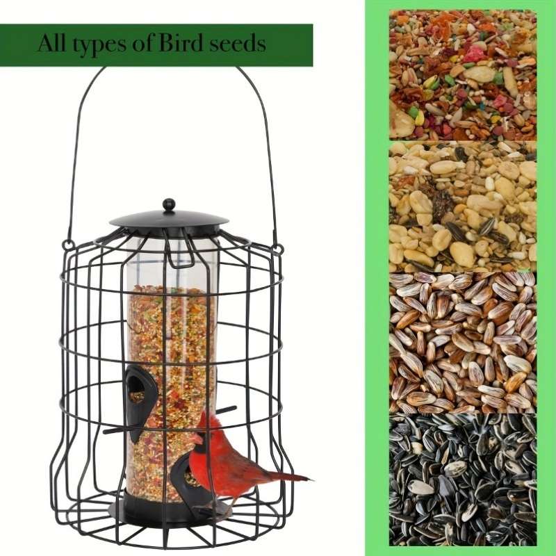 Birdcage Color Black Modelg1115 W031 2
