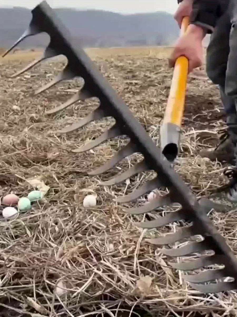 Gardening Tools Style 6 Teeth