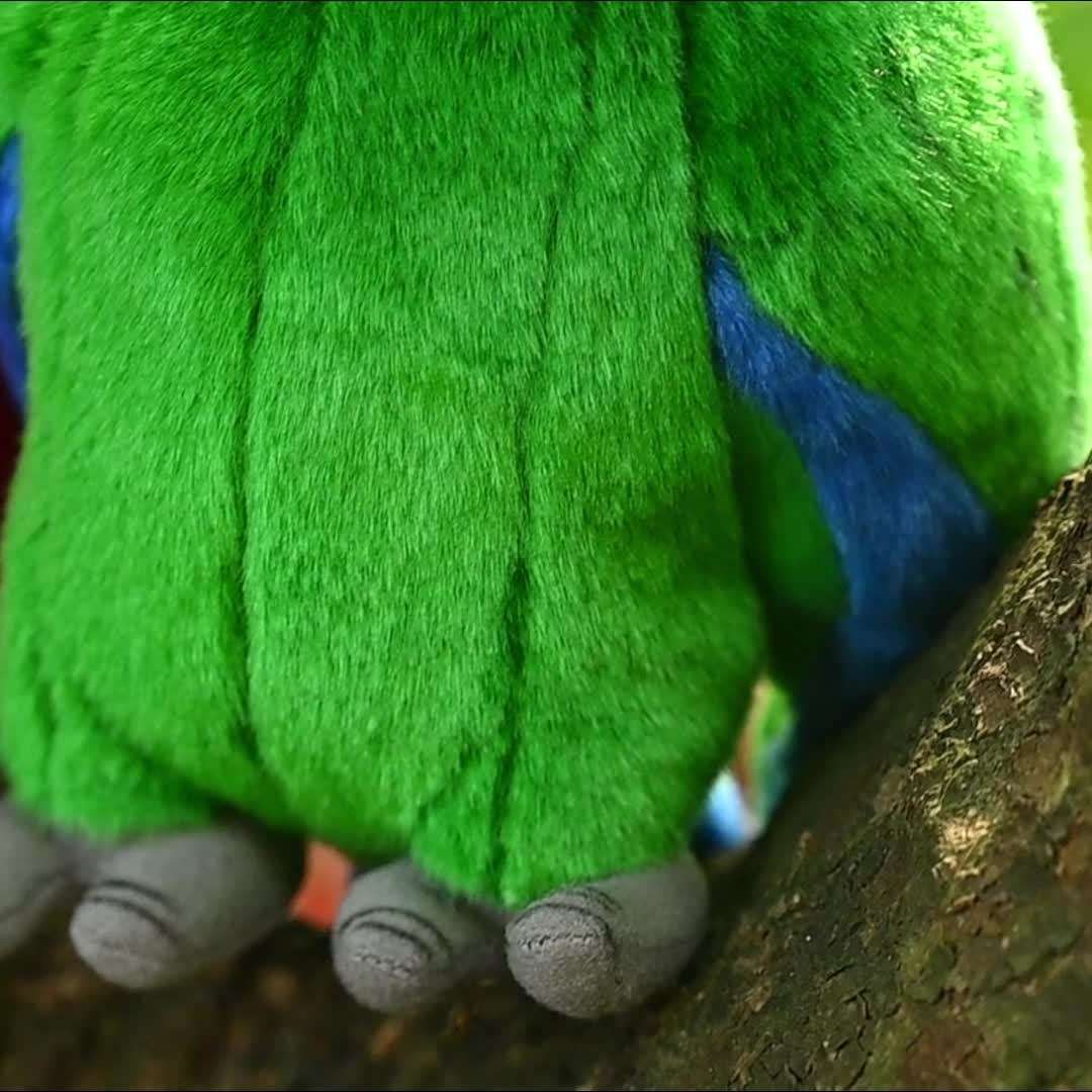 Plush Toyss color Red 24.89cm Parrot