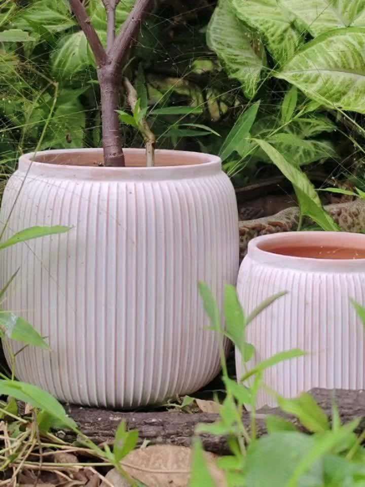 Flowerpot Size 160Mm 6.29In
