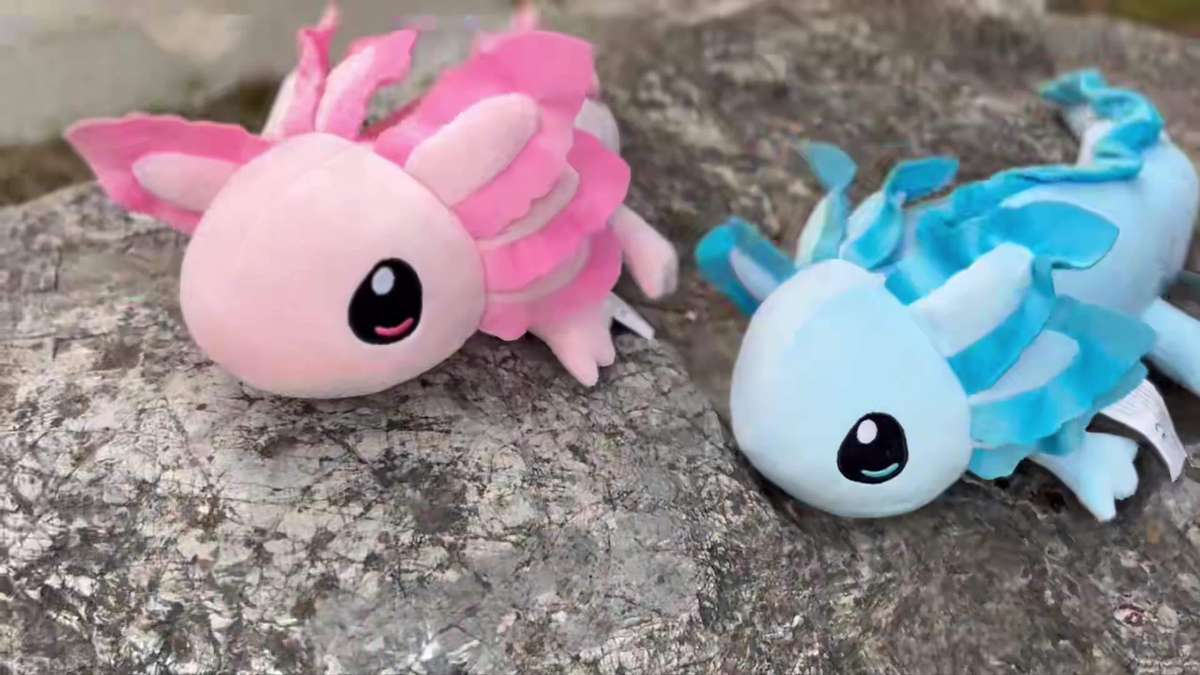 Plush Toyss color Blue