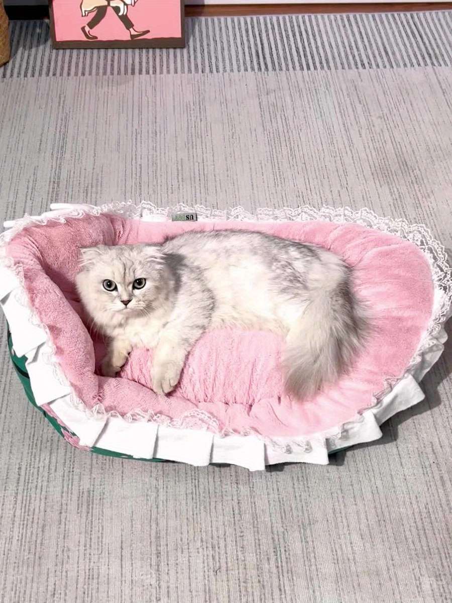 Pet supplies color Green