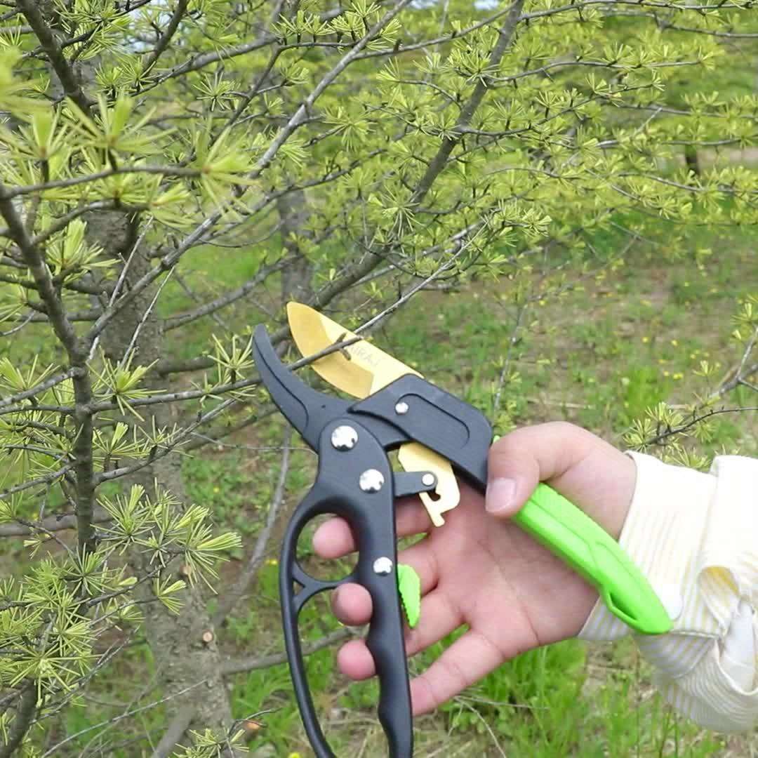 Scissors Model Industrial Scissors
