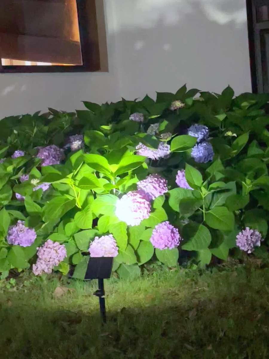 White Light Outdoor Solar Light