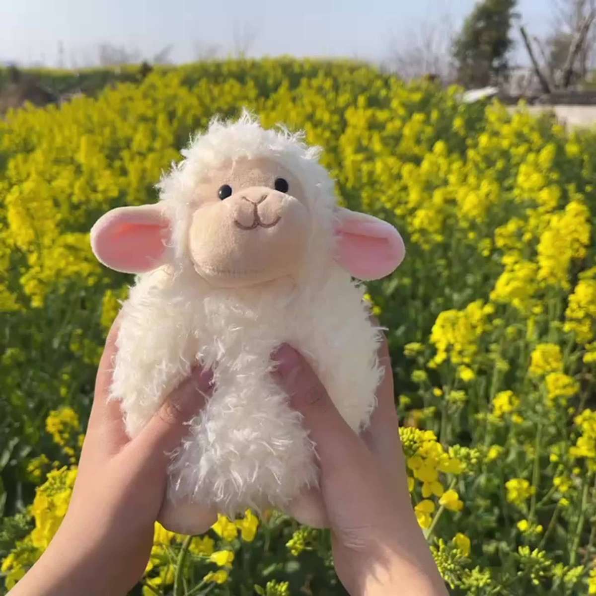 Plush Toyss color White