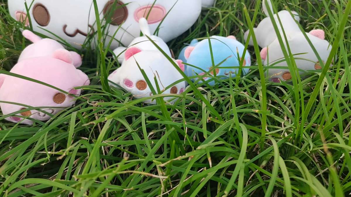 Plush Toys Color White