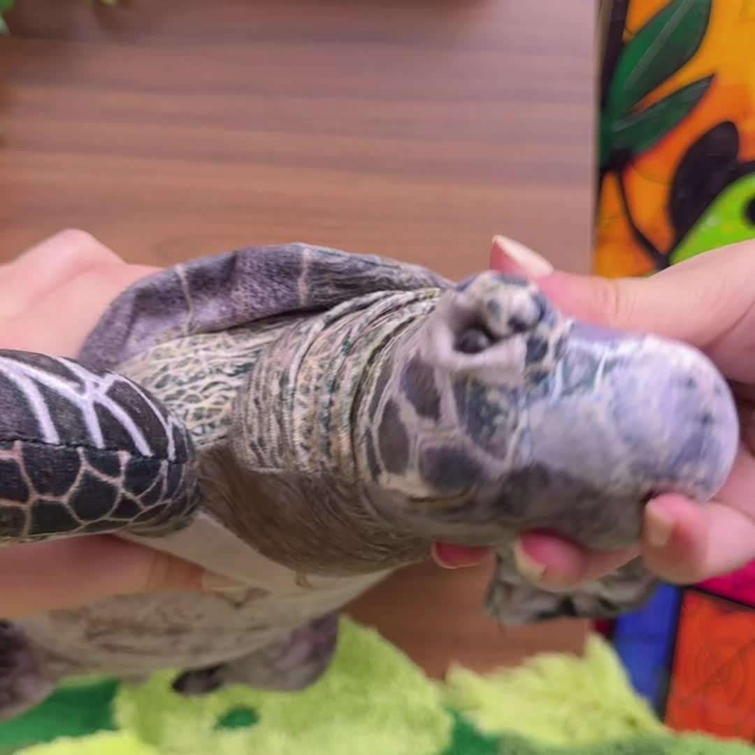 Plush Toys Items Dark Green Turtle