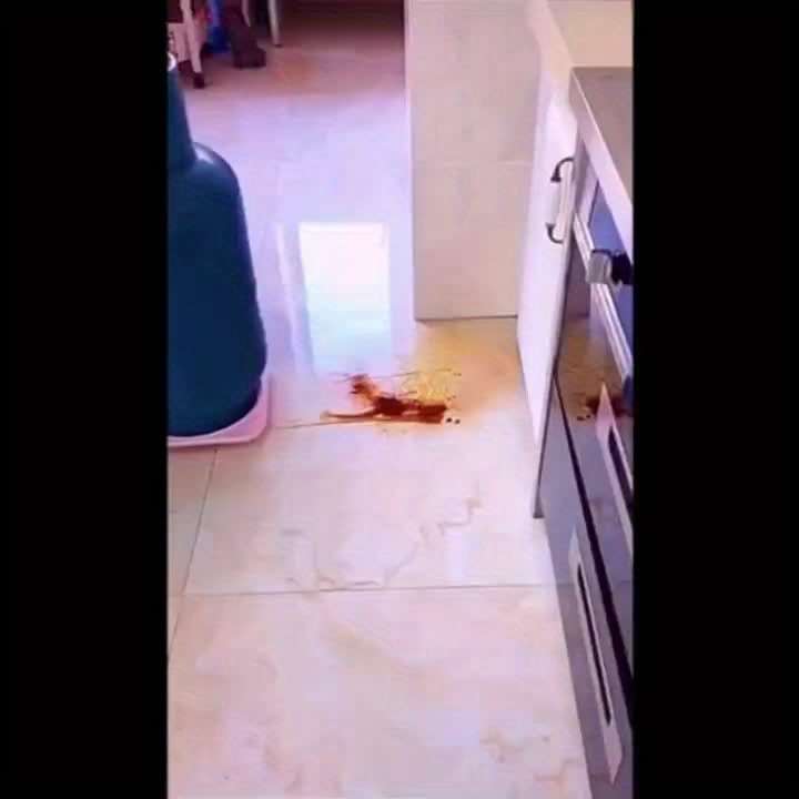 1pc Versatile Plastic Storage Rack Easy-to-Install No-Drill Sliding Design for Water Dispen