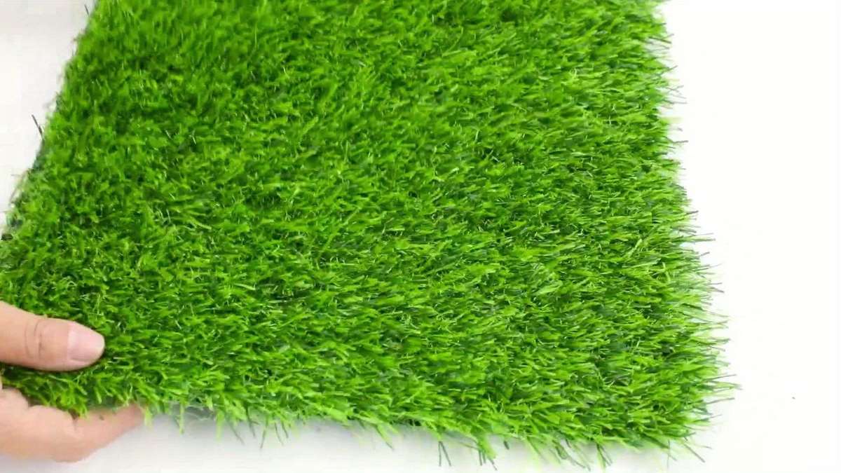 Pet Supplies Color 6Pack